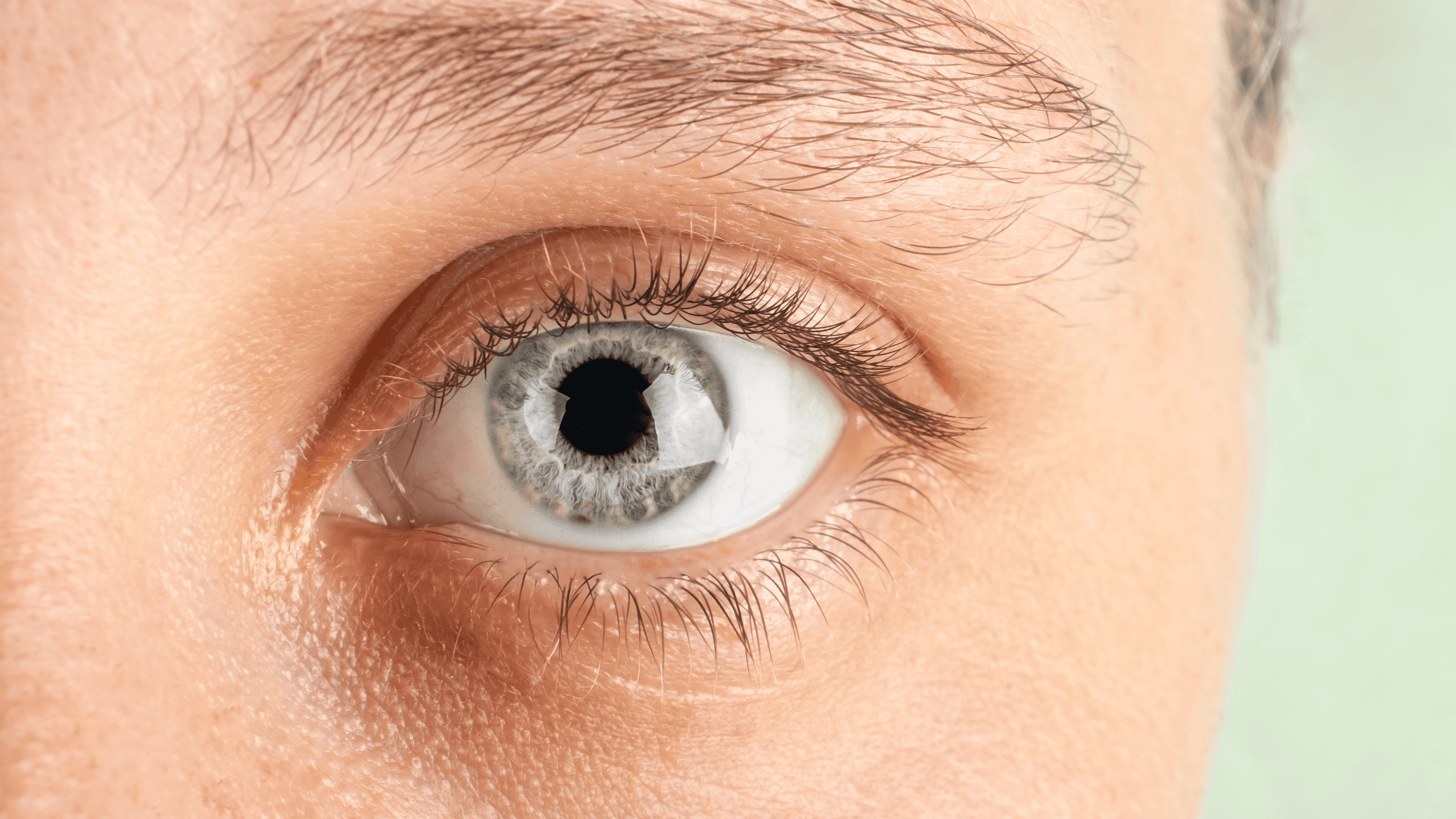 Eye Perfection