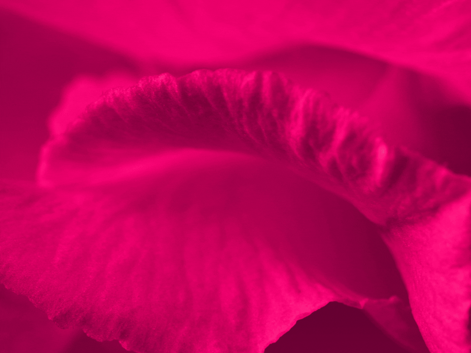 Who We Are - Magenta Clinique